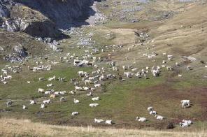 Xtrallusion photo gallery of Italy. Photos, pictures, images and photographs of the Italian Rivieras, the Italian Lakes, the Italian Alps, the Cinque Terre, the Amalfi coast and some of the most beautiful corners of Italy. Plus photos of Italian cities such as Pisa, Milan, Genoa and Rome.